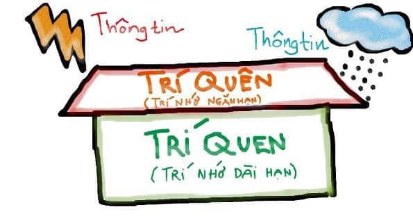 Tri Nho