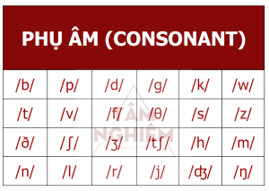 Phụ âm