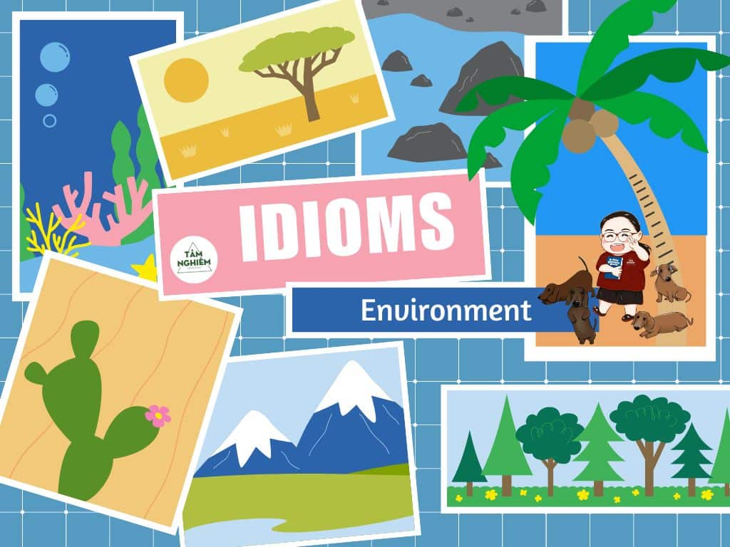 Tổng kết idioms chủ đề environment cùng Tâm Nghiêm