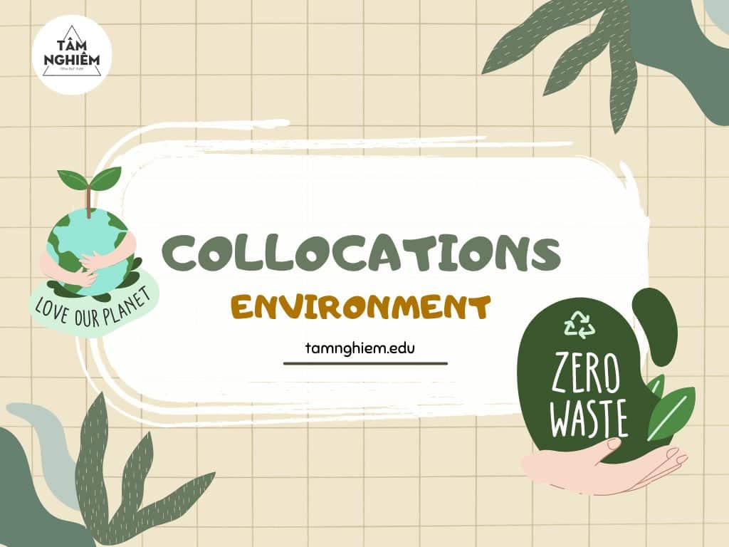 Danh sách các collocations thường gặp chủ đề Environment