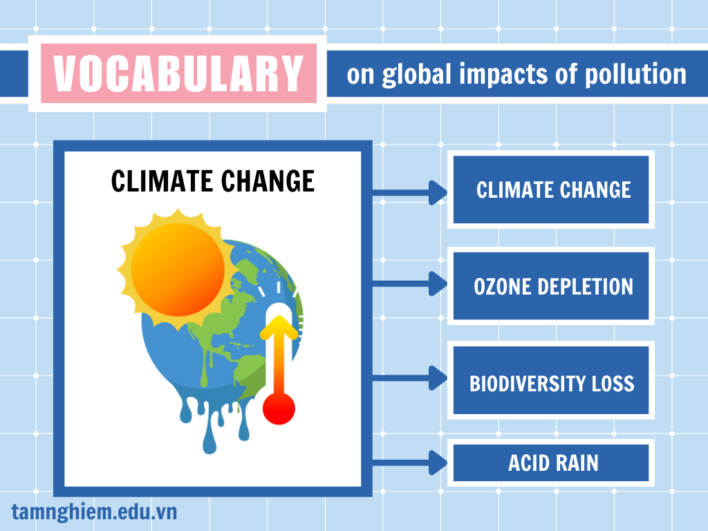 Từ vựng tiếng Anh chủ đề Pollution