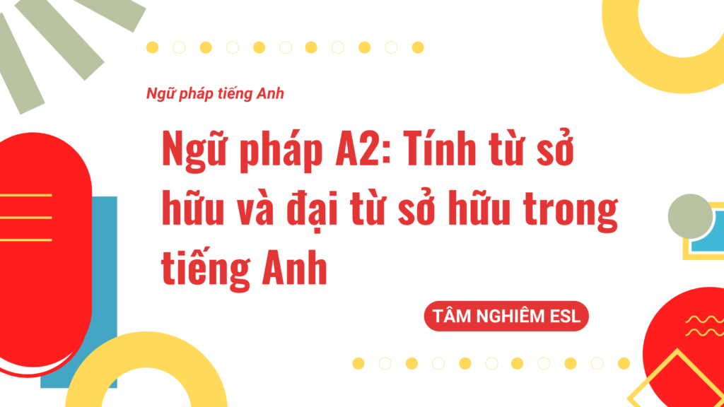 Tính từ sổ hũu và đại từ sở hữu